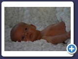 Zarah_2011_032
