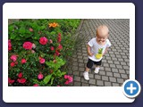 Zarah_2012_261