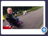 Zarah_2012_264