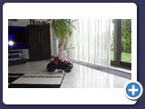 Zarah_2013_137