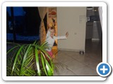 zarah_2014_006