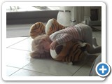 zarah_2014_147