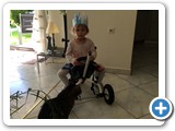 zarah_2014_203