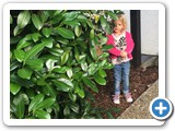 zarah_2014_312