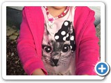 zarah_2014_317