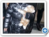 zarah_2014_385