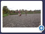 Zarah_2015_306
