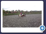 Zarah_2015_307