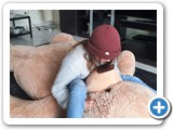 zarah_2021_002