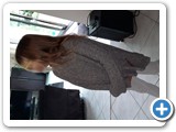 zarah_2021_040